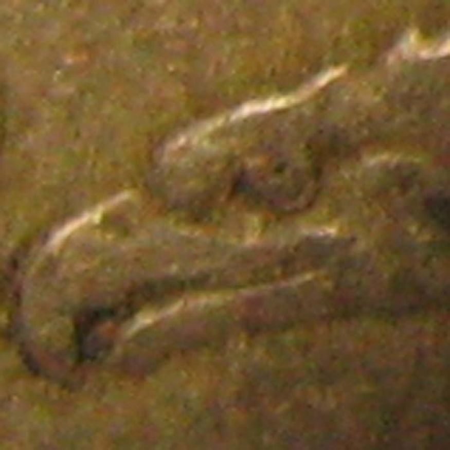 1857-Flying-Eagle-Cent---Broken-Wingtip-And-Doubling-.-.-.-Is-It-A-DDO?